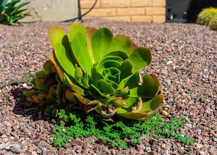 Zajazd Clarion Near Ft Huachuca Sierra Vista